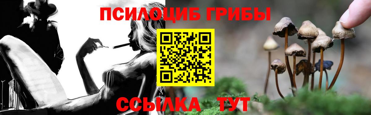 Галлюциногенные грибы Psilocybine cubensis  Вход с VPN  Камень-на-Оби 